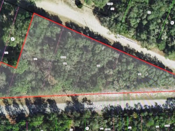4114 E CAMP IZZARD PLACE , DUNNELLON, FL 34434