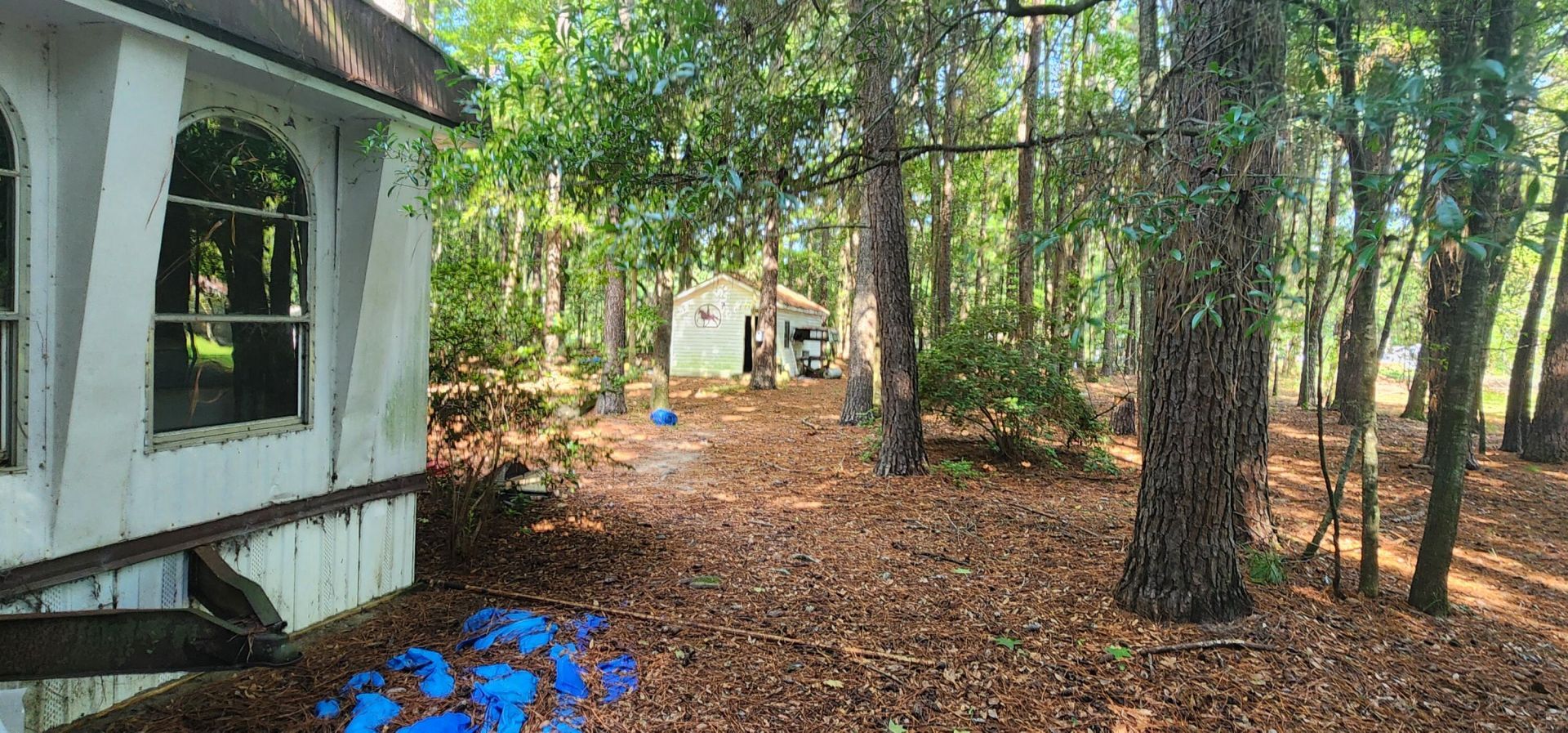 124 Isgett Lane Photo 8