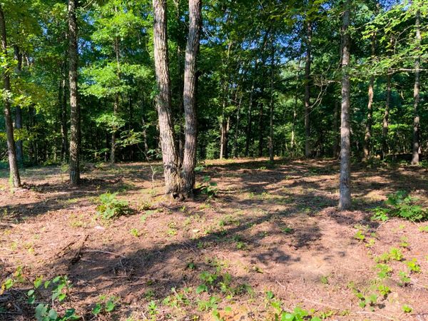 0 Hwy 232 , Unit 74, Dover, TN 37058