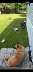 15136 NW 292nd Street, Okeechobee, FL 34972 Photo