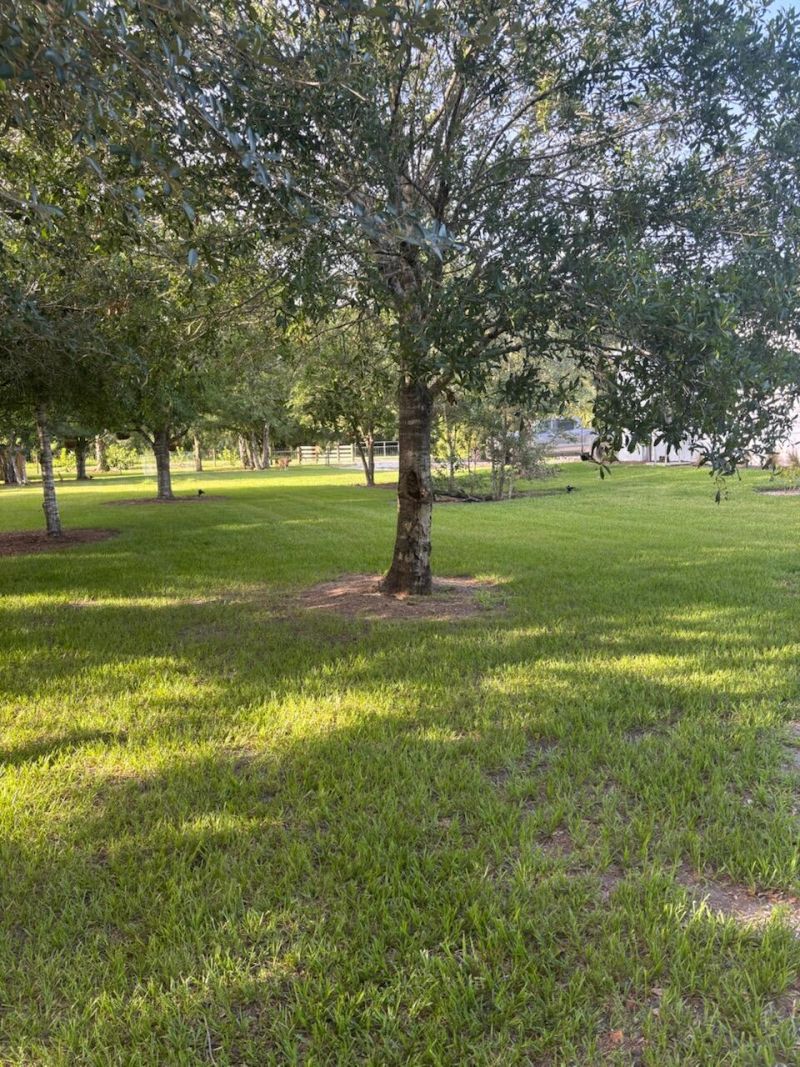 15136 NW 292nd Street, Okeechobee, FL 34972 Photo