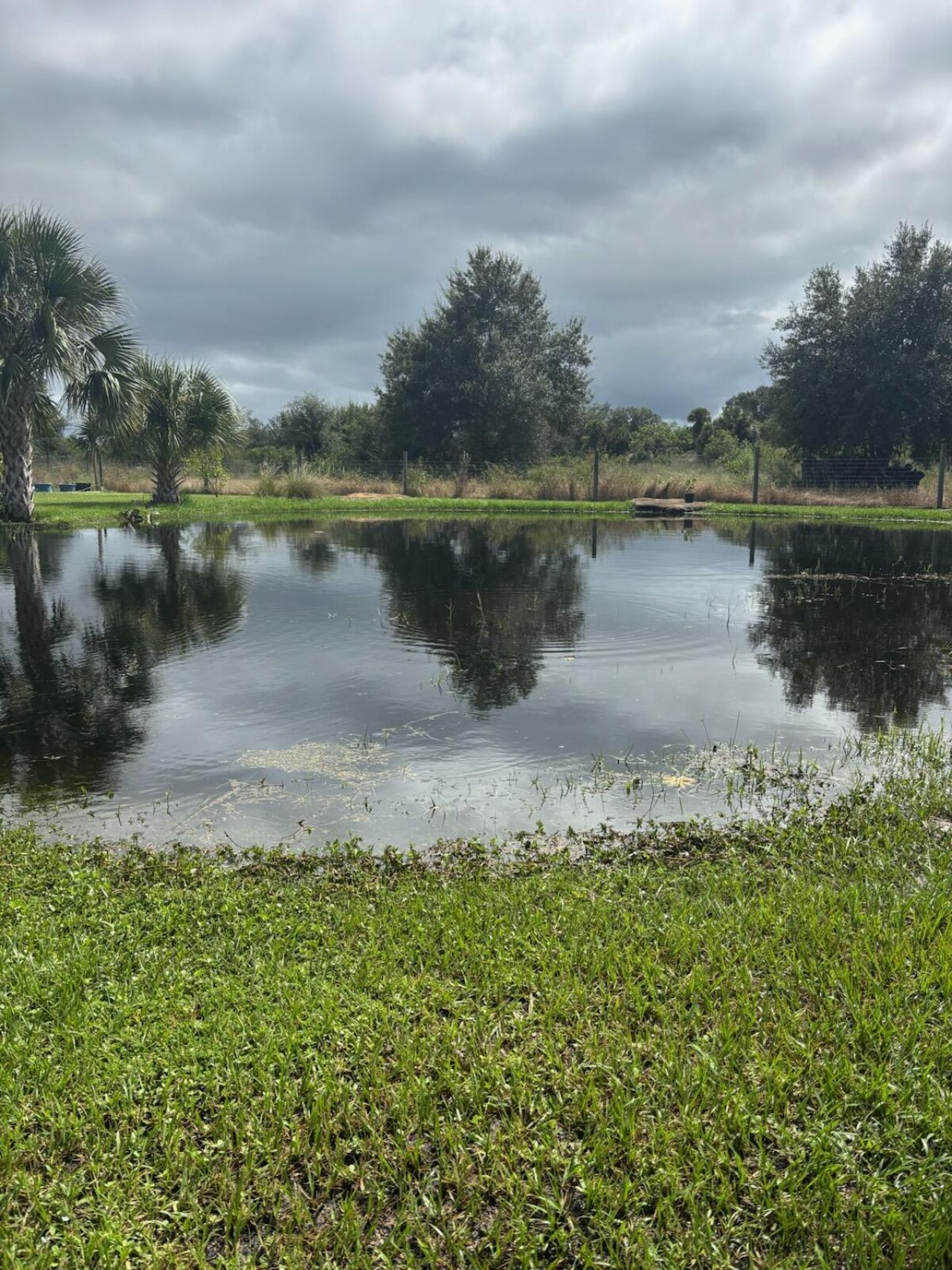 15136 NW 292nd Street, Okeechobee, FL 34972 Photo