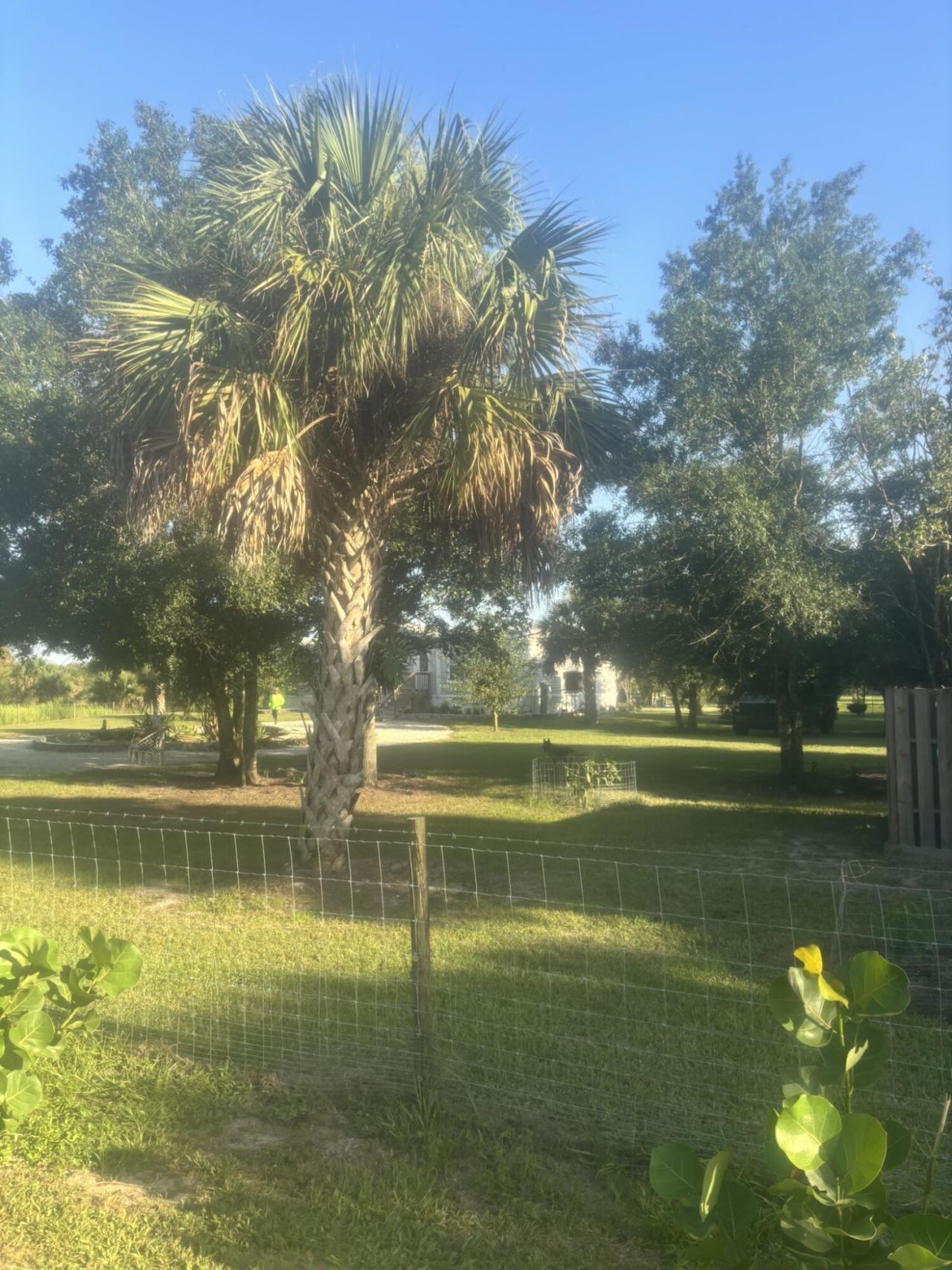 15136 NW 292nd Street, Okeechobee, FL 34972 Photo