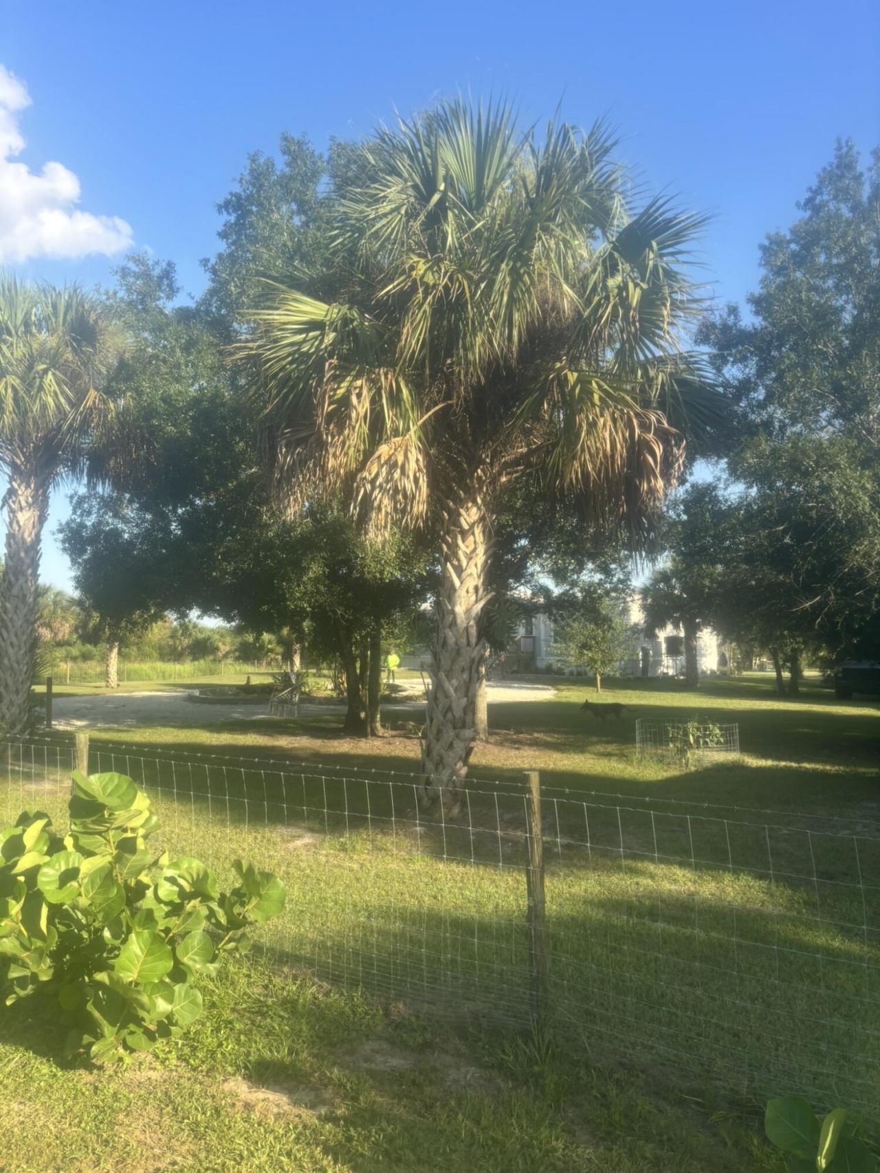 15136 NW 292nd Street, Okeechobee, FL 34972 Photo