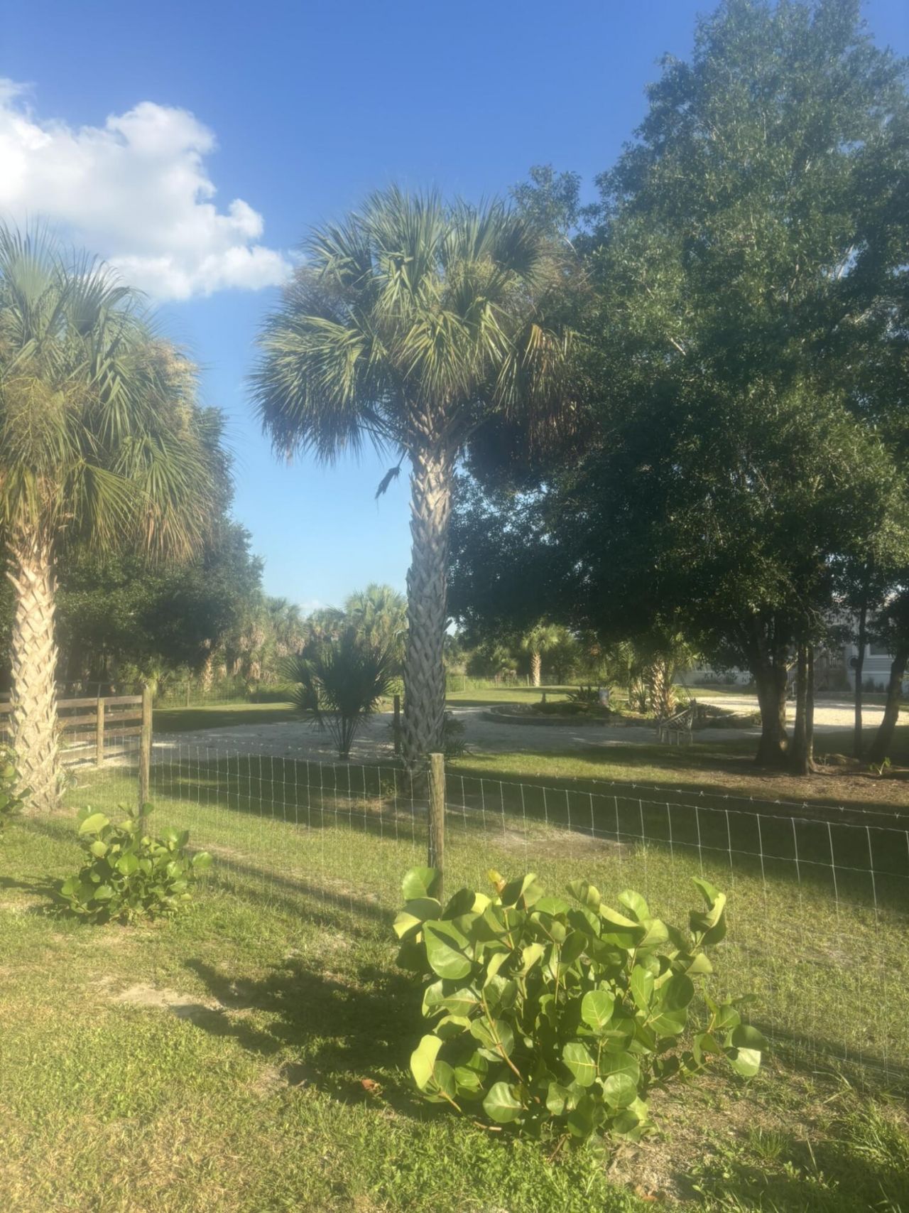 15136 NW 292nd Street, Okeechobee, FL 34972 Photo