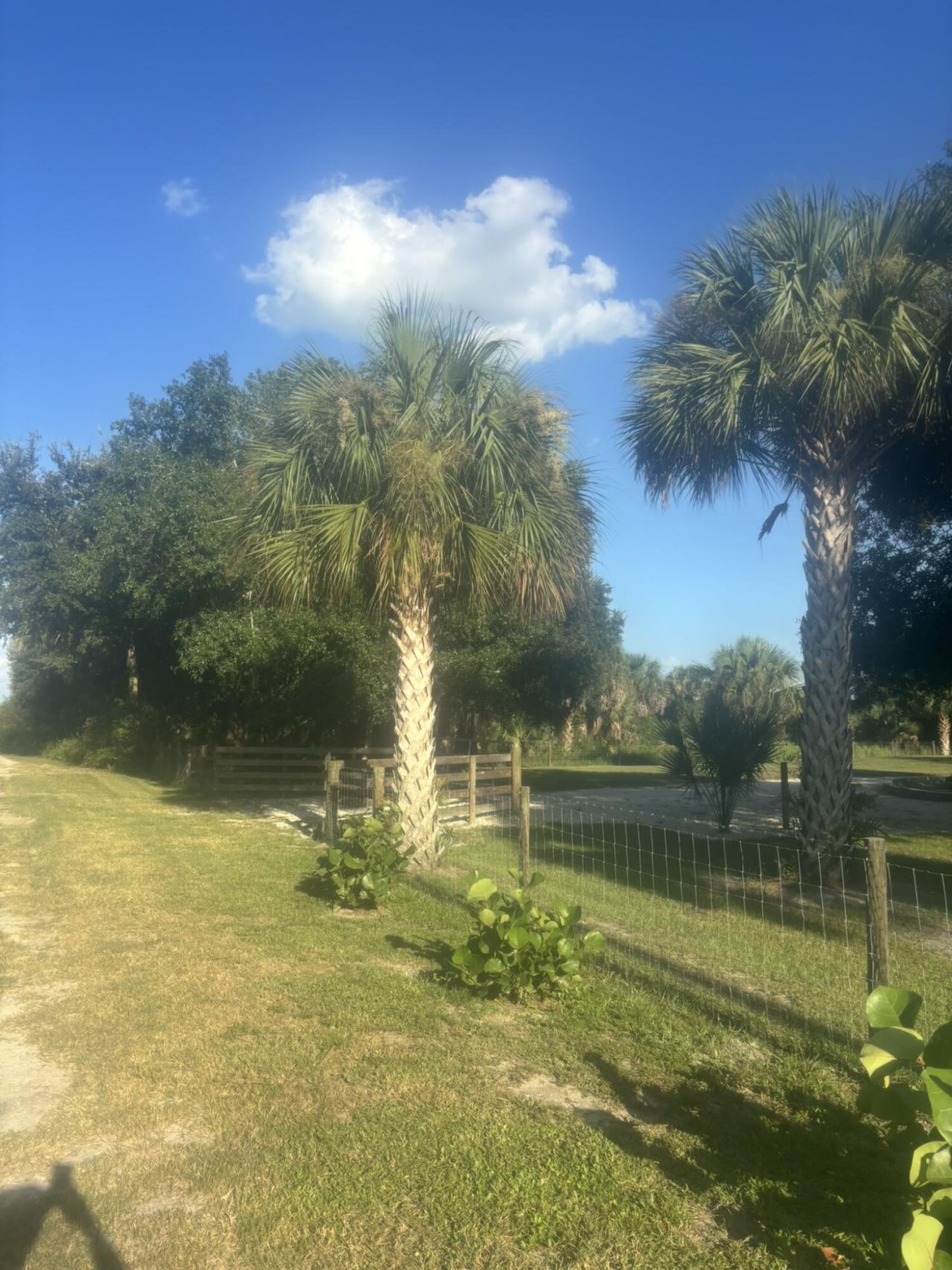 15136 NW 292nd Street, Okeechobee, FL 34972 Photo