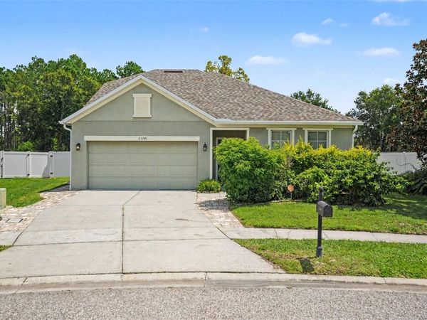 23046 WOOD VIOLET COURT , LAND O LAKES, FL 34639