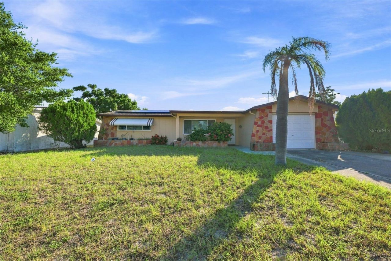 5220 School Road, New Port Richey, FL 34653 Main Photo