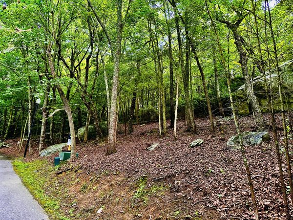 0 Eagle Creek Trail, Rising Fawn, GA 30738