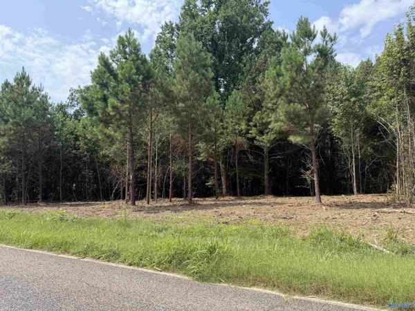 Tract 2 Flanagan Road, Athens, AL 35614