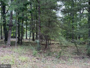 Lot 95 LOGGER DRIVE, GORE, VA 22637