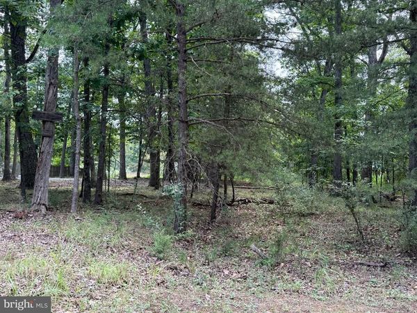 Lot 95 LOGGER DRIVE, GORE, VA 22637