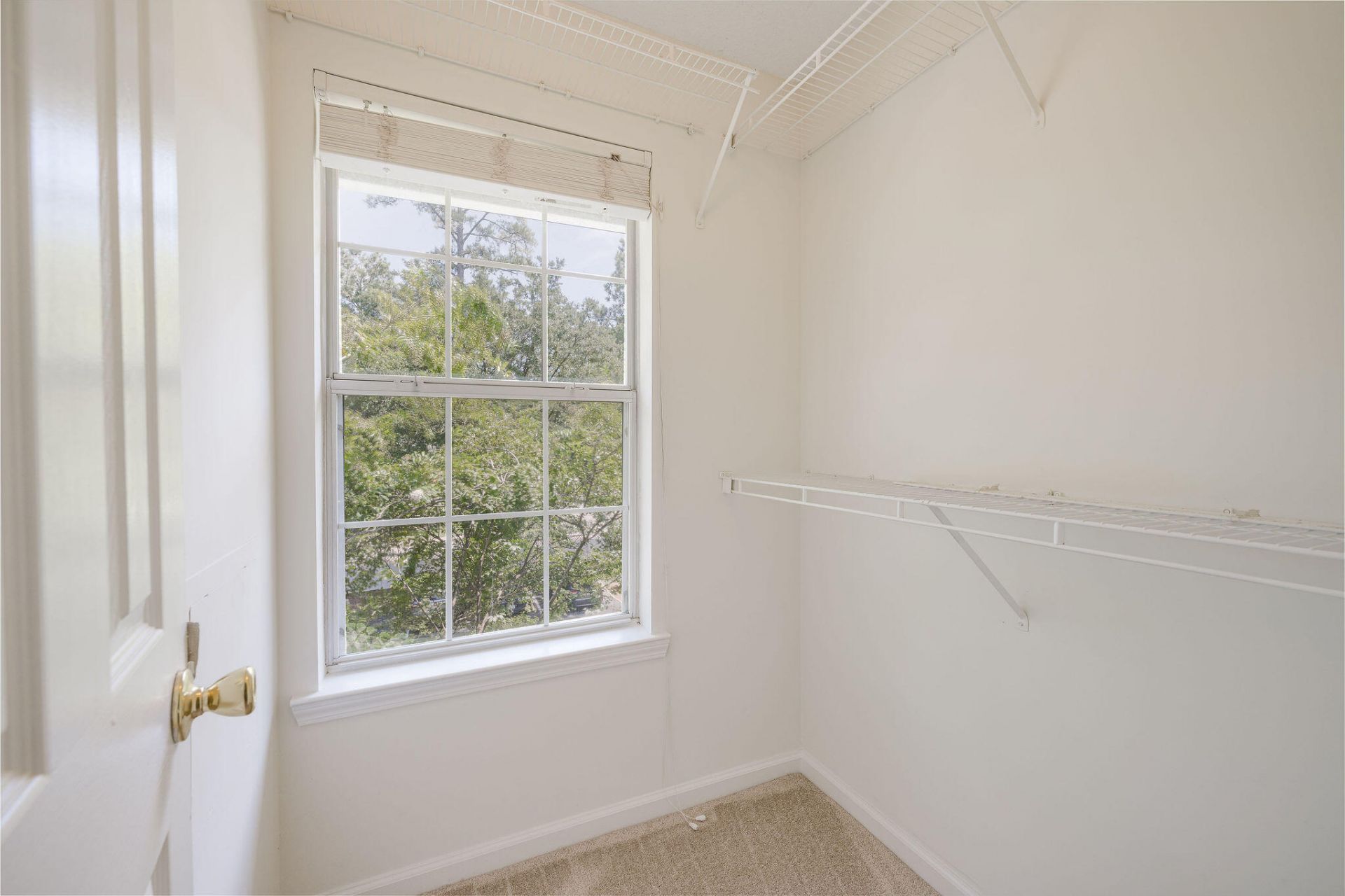 188 Midland Parkway Photo 8