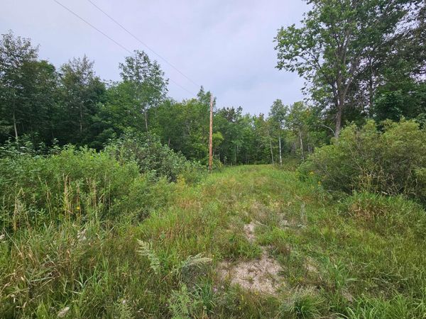 tbd Moose River Road E, Grygla, MN 56727