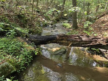 574 MOUNTAIN SLOPE LN, FORT VALLEY, VA 22652
