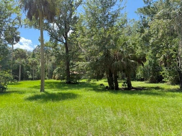 331 SW 3rd Street , Bronson, FL 32621 Photo