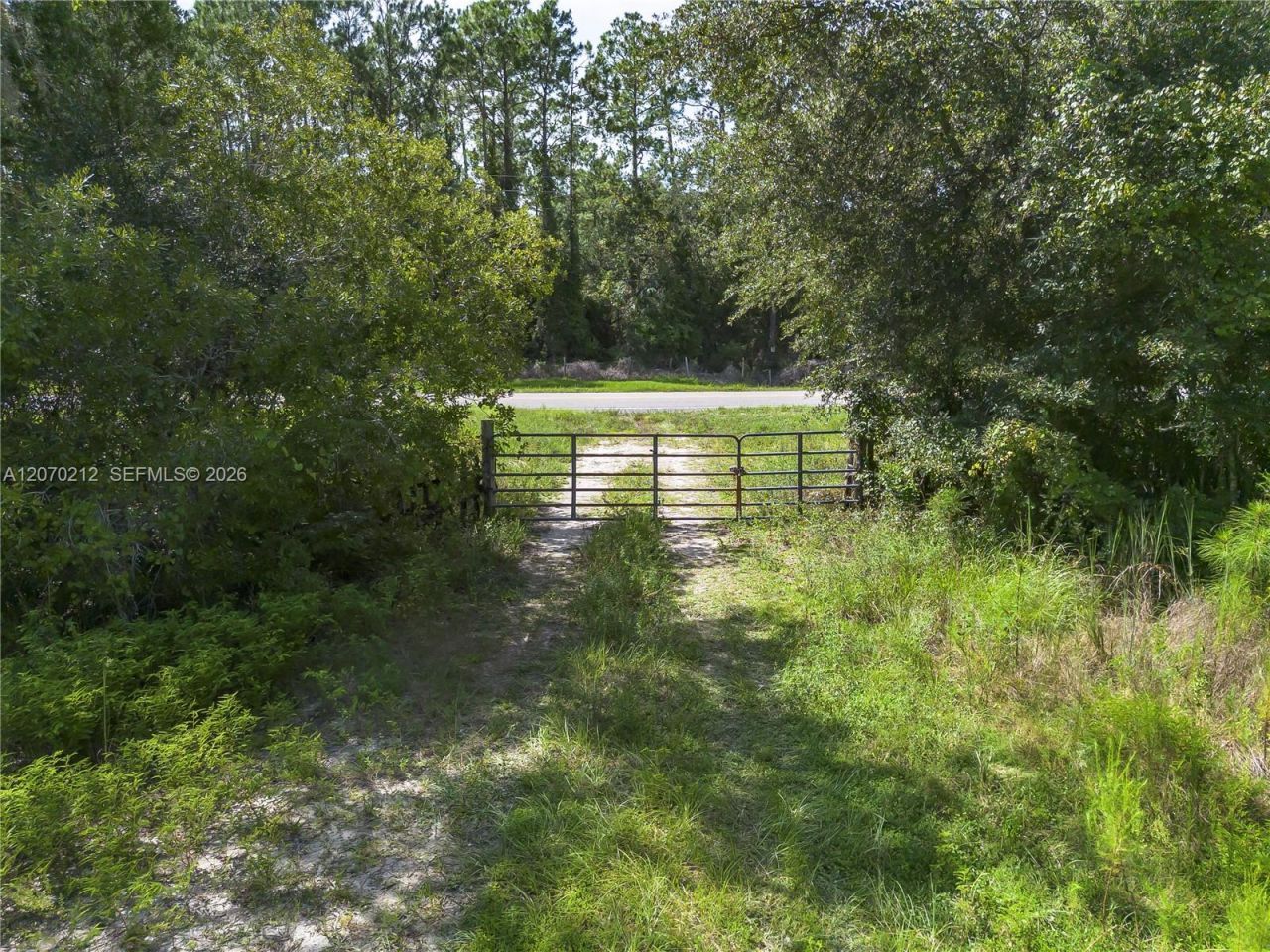 1349 Water Oak Rd , Bunnell, FL 32110 Photo
