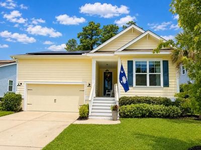 338 Turnstone Street, Mount Pleasant, SC 29464