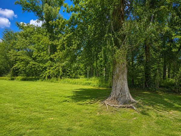 0 Batchelor St , Clarksville, TN 37043