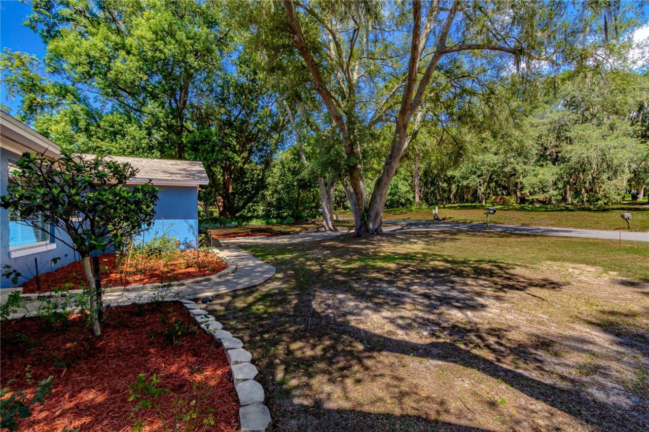 6526 Lynn Road, Orlando, FL 32810 Photo