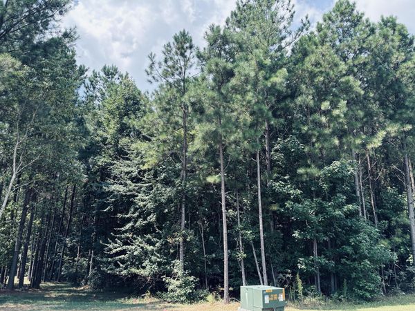 395 Volunteer Street, Jasper, TN 37347