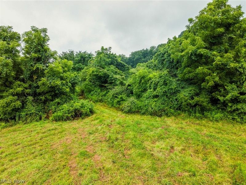 19072 Harl Weiller Rd, Caldwell, OH 43724 Photo 28