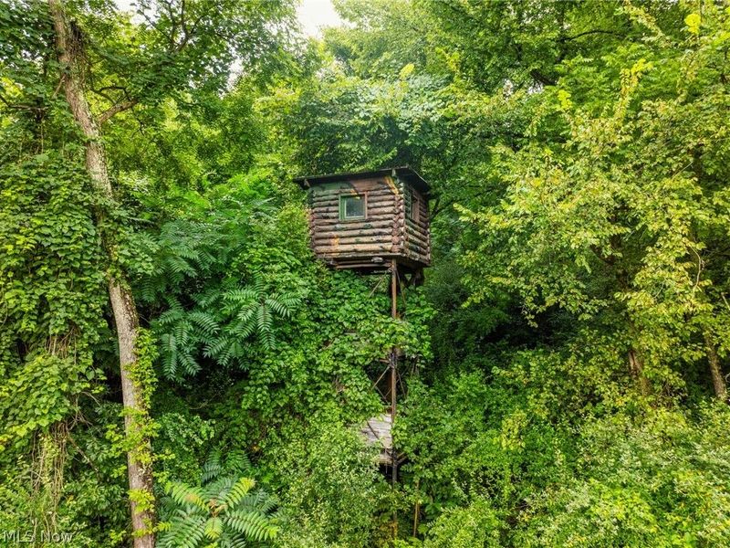 19072 Harl Weiller Rd, Caldwell, OH 43724 Photo 6