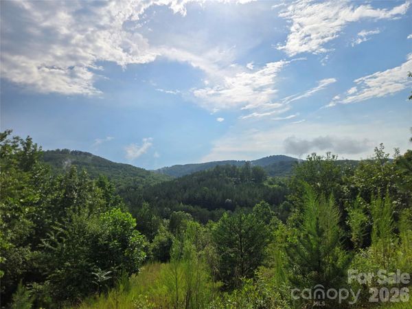 0 Pinegrove Drive , Bostic, NC 28018