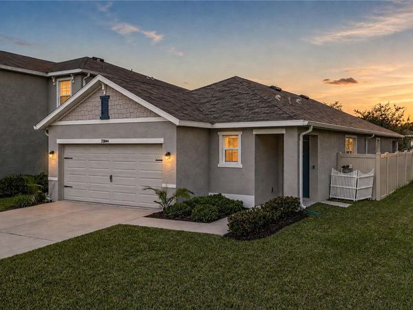 32844 BROOKS HAWK LANE , WESLEY CHAPEL, FL 33543