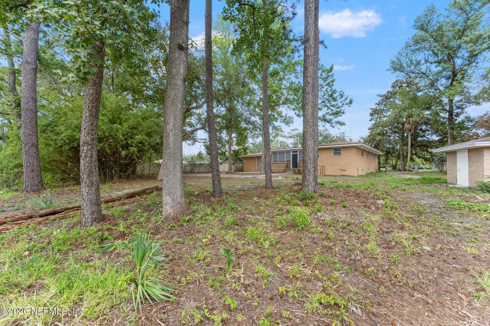 4452 Roth Drive, Jacksonville, FL 32209 Photo