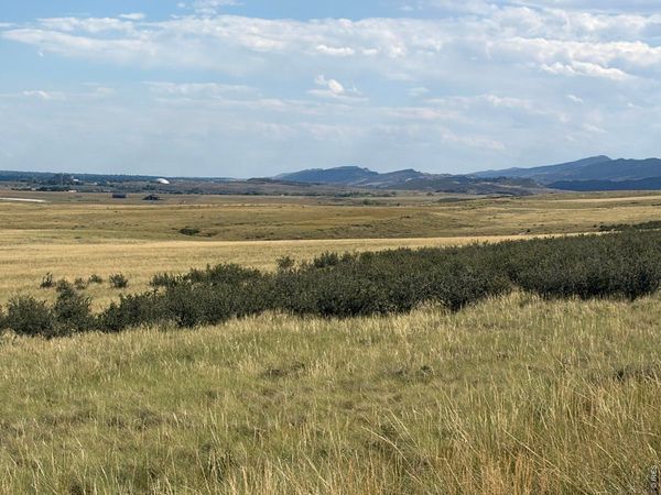 60 Niobrara Ridge Rd, Laporte, CO 80535