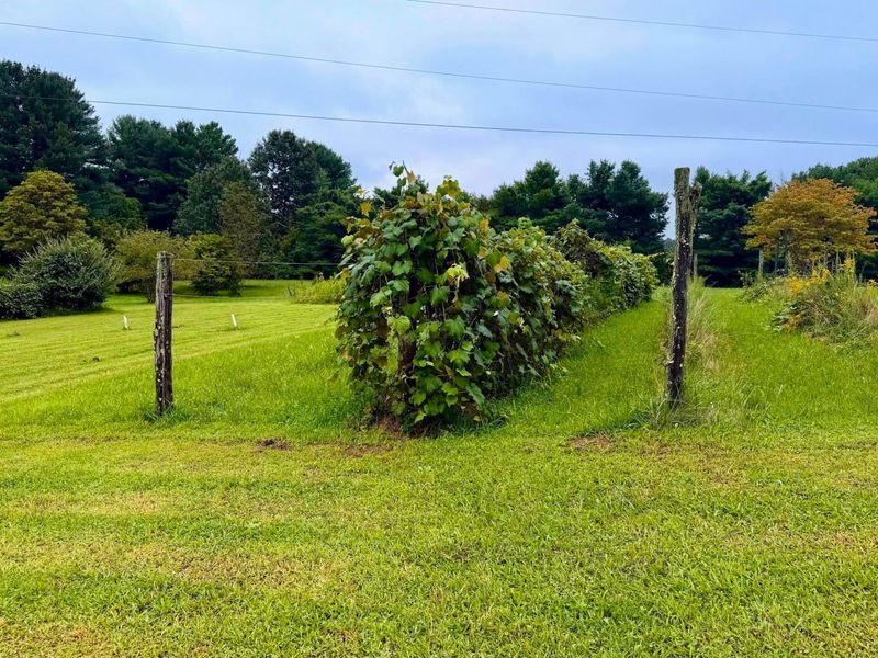 101 US Highway 33, Shade, OH 45776 Photo 4