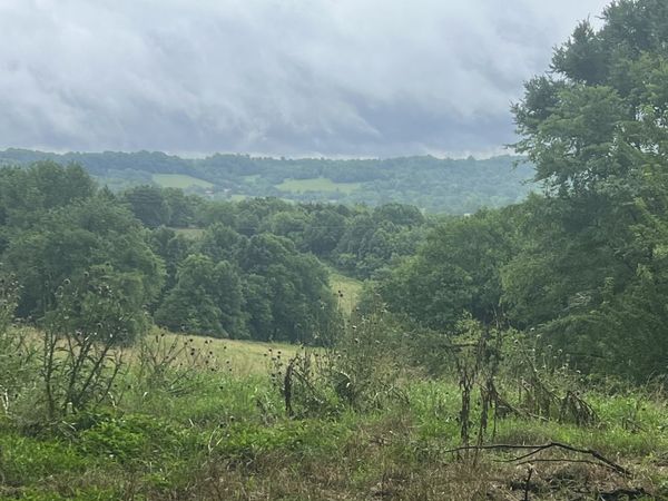 127 McBurg Rd , Frankewing, TN 38459