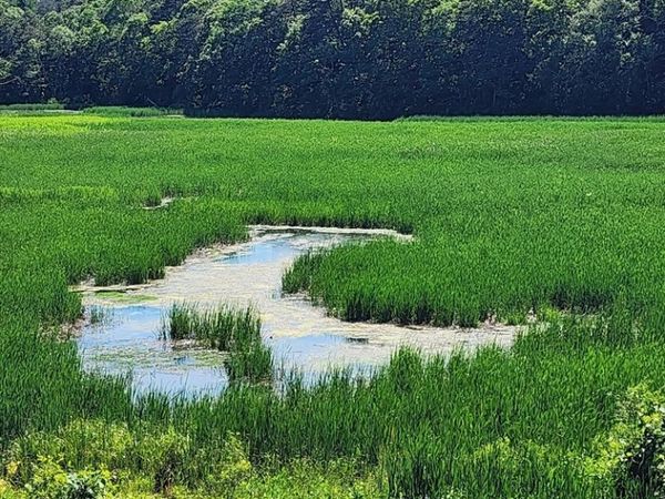143 Abbey Gate Rd, Barnstable, MA 02635