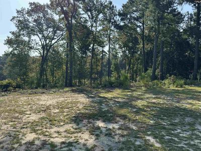 208 Crickentree Drive, Blythewood, SC 29016