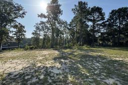 208 Crickentree Drive photo 4