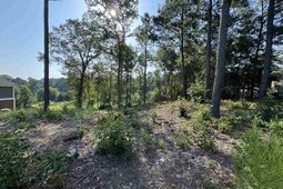 208 Crickentree Drive photo 4