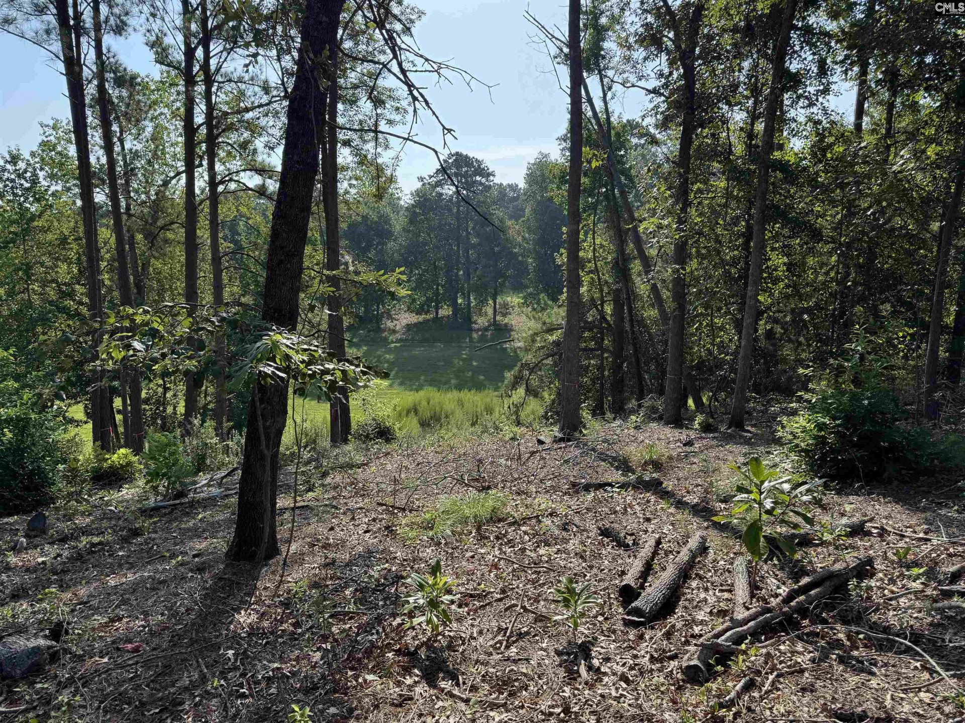 208 Crickentree Drive Photo 4