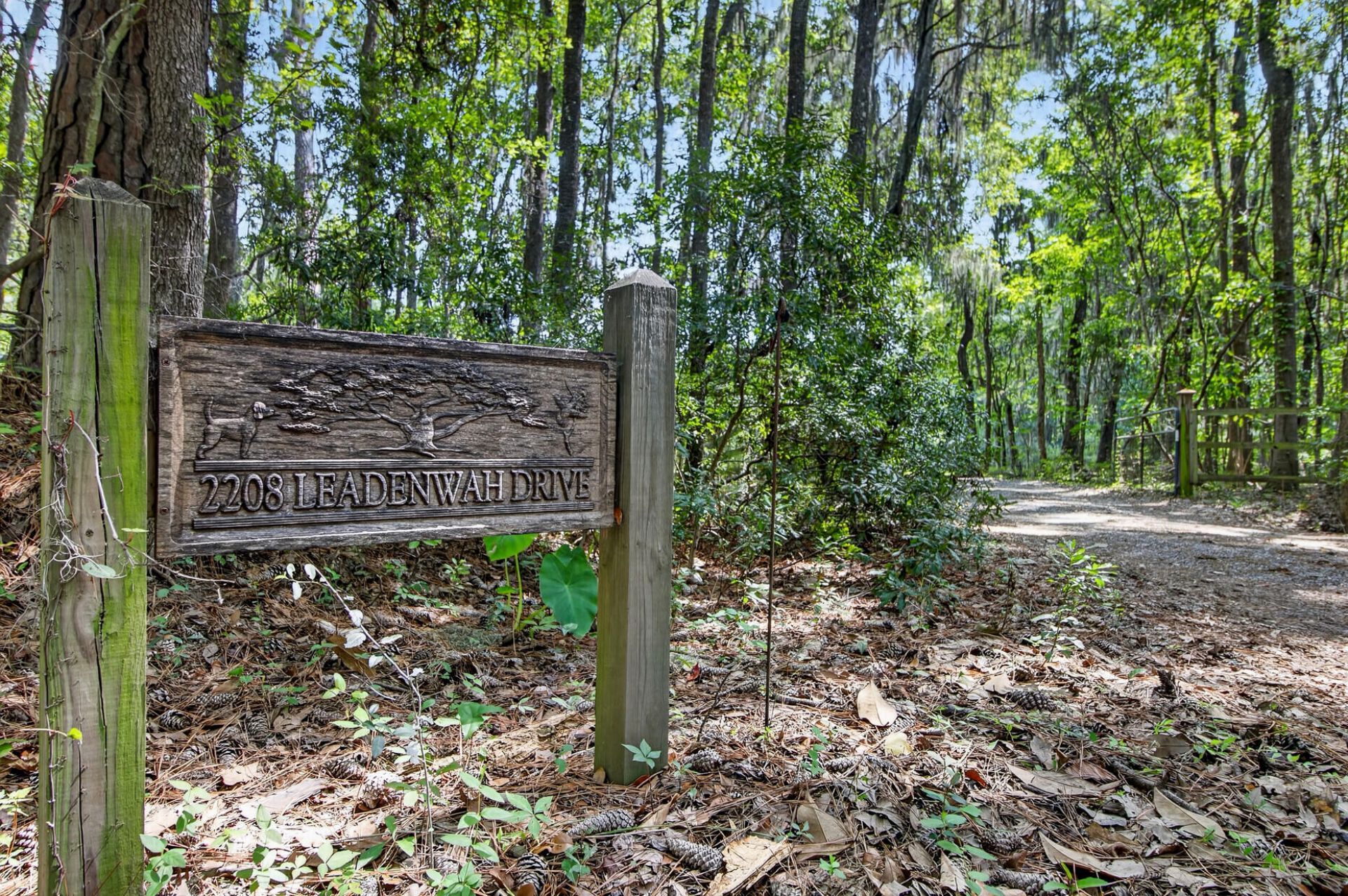 2208 Leadenwah Drive Photo 3