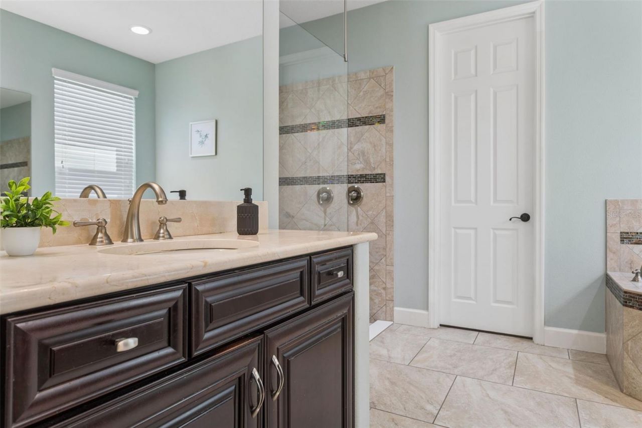 1737 Virginia Willow Drive , Wesley Chapel, FL 33544 Photo