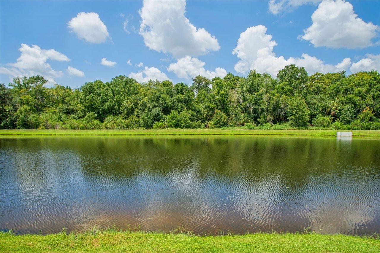 1737 Virginia Willow Drive , Wesley Chapel, FL 33544 Photo
