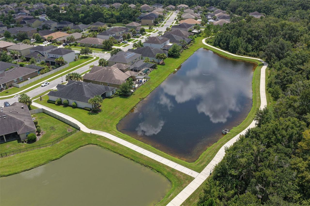 1737 Virginia Willow Drive , Wesley Chapel, FL 33544 Photo