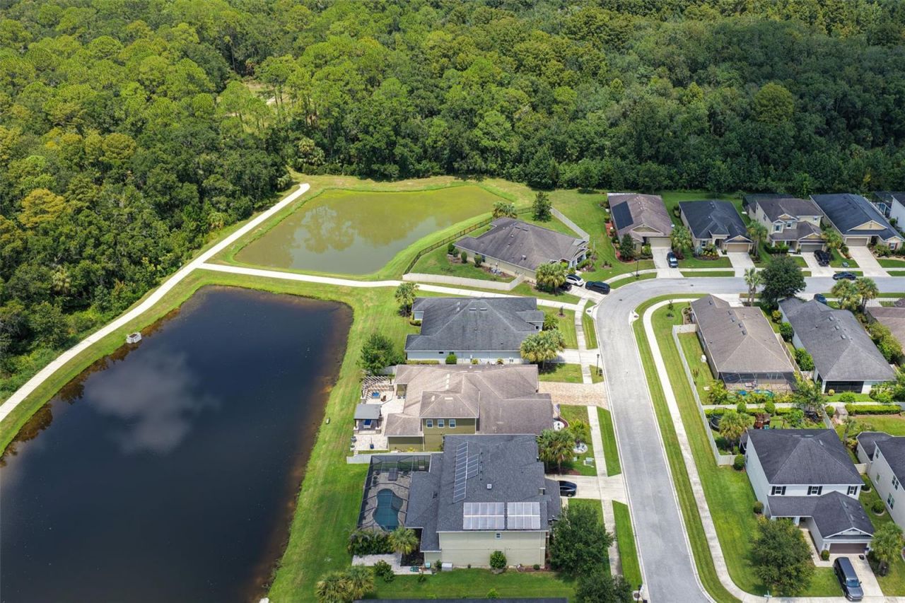 1737 Virginia Willow Drive , Wesley Chapel, FL 33544 Photo