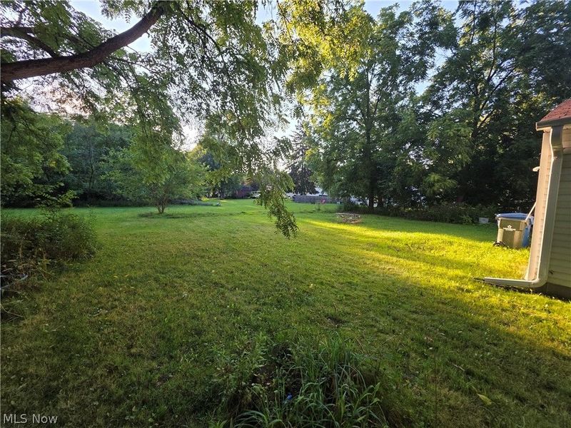 419 Barker Street, Wellington, OH 44090 Photo 38