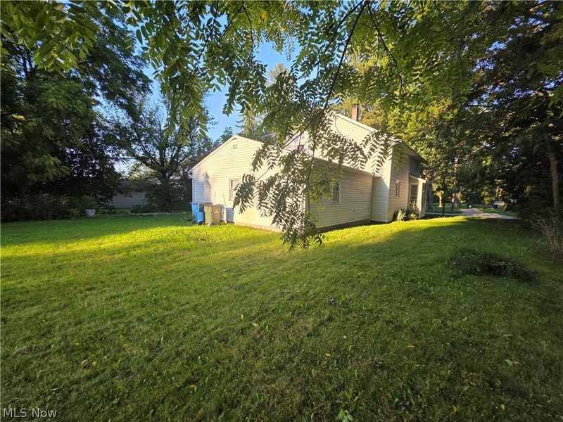 419 Barker Street, Wellington, OH 44090 Photo 48