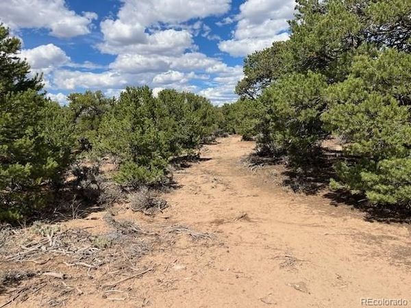 Lot 8 Coyote Court , San Luis, CO 81152