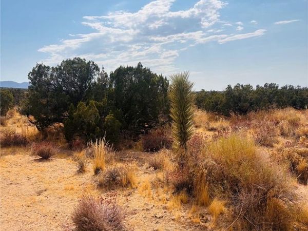 0 Vac/Vic, Llano, CA 93544