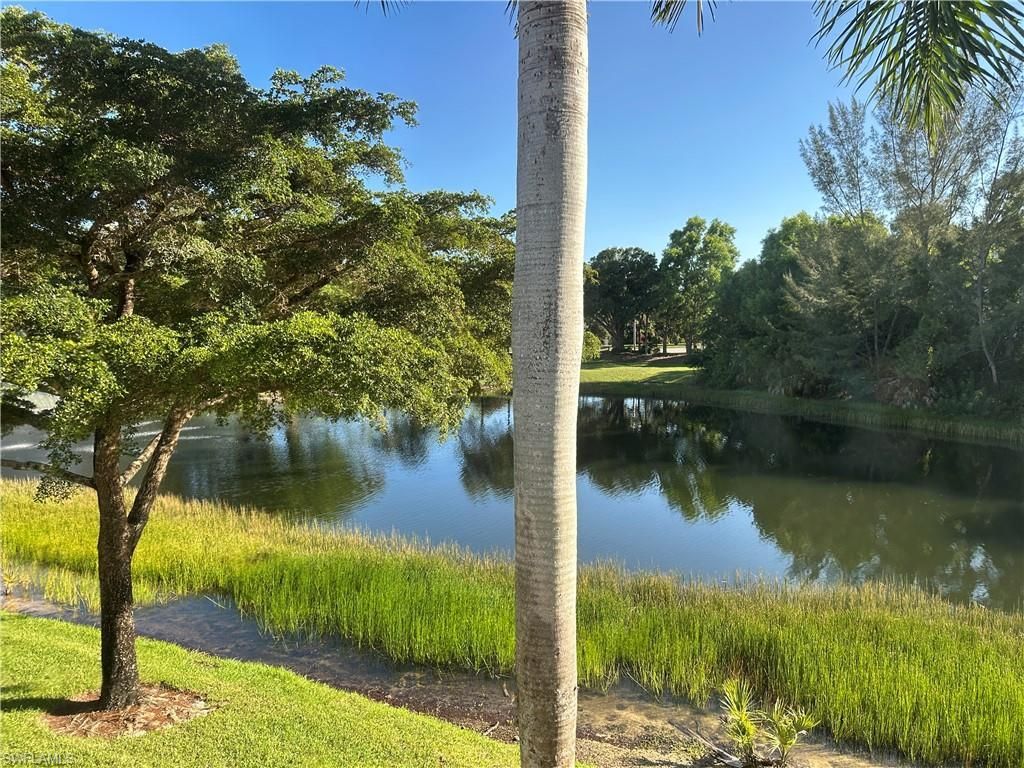 354 Dover Pl, Unit 202, Naples, FL 34104 Photo