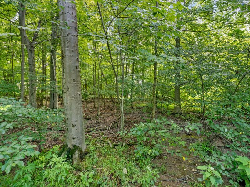 4795 Bayhill Drive, Powell, OH 43065 Photo 47