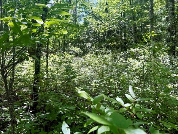 TBD Indian Lake Road, Lake Toxaway, NC 28747